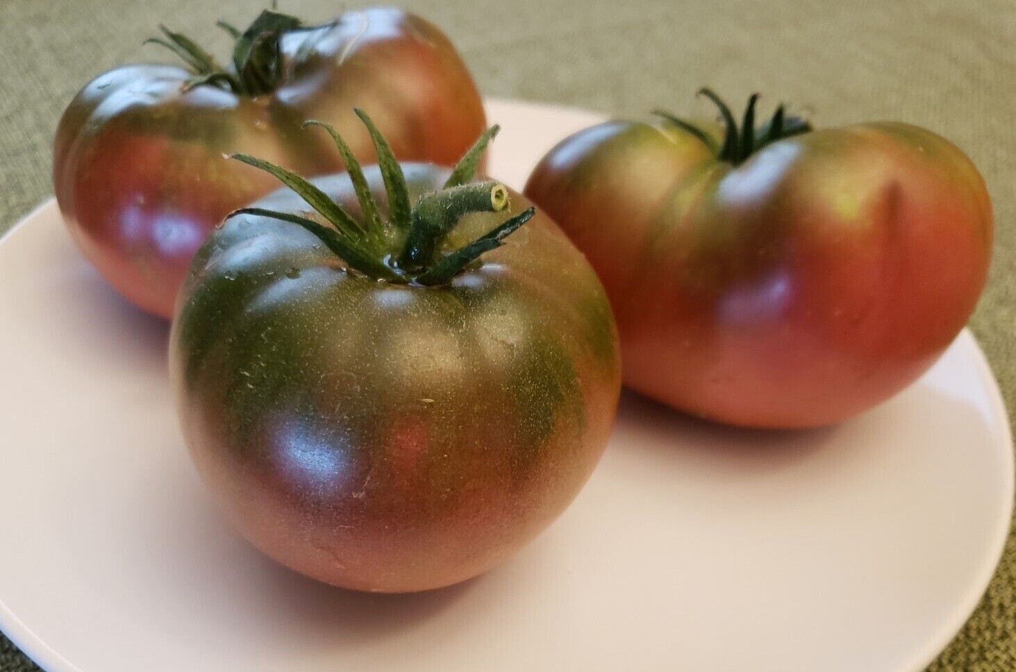 Black Krim Tomato (30 seeds) – Free Shipping – very productive