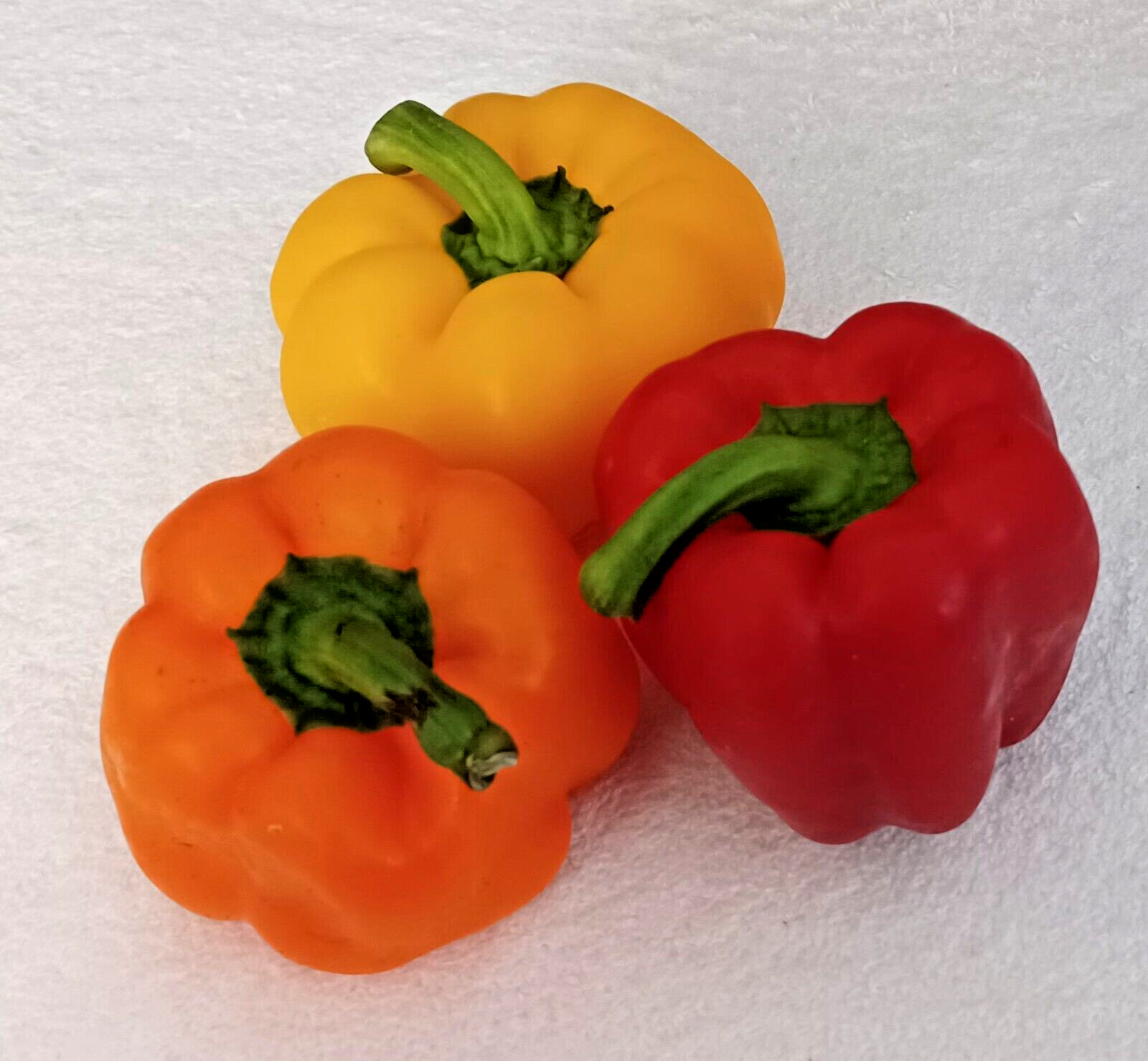Red Yellow Orange Sweet Bell Pepper Mix 100+ Seeds Non GMO Organic