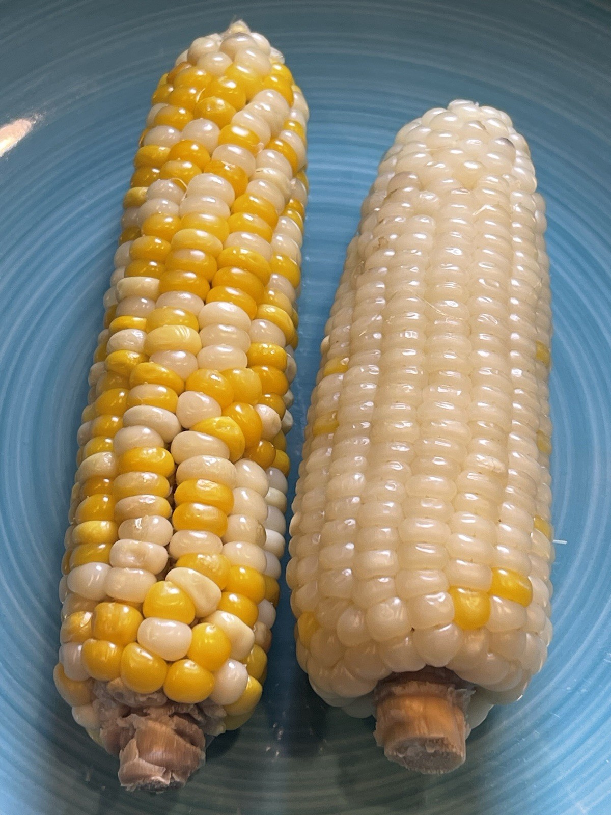 Organic Sweet Sticky Waxy White Glutinous Corn Non-GMO 糯玉米