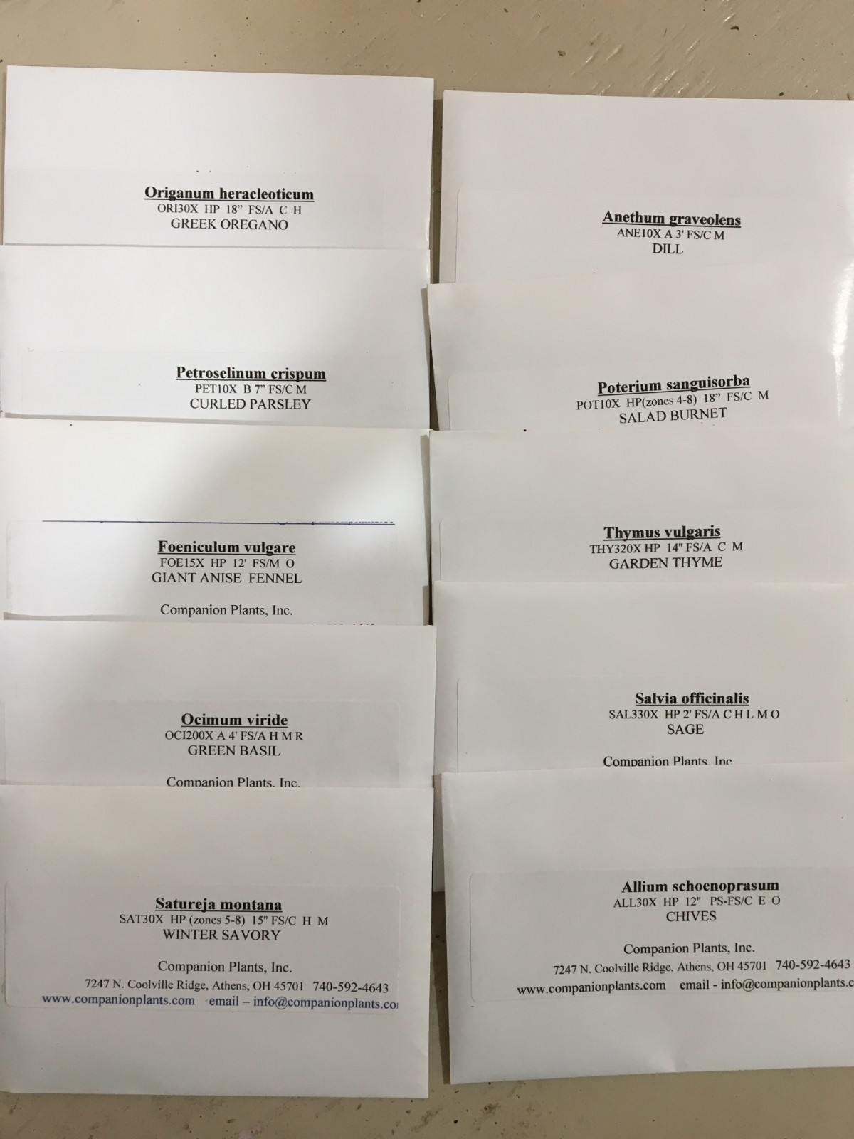 Culinary Herb SEED COLLECTION 10 different species 10 packets of seeds