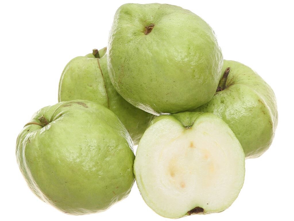 Queen Guava, Large-White-Seedless Guava, Psidium Guajava – 10 Seeds 2024 – USA