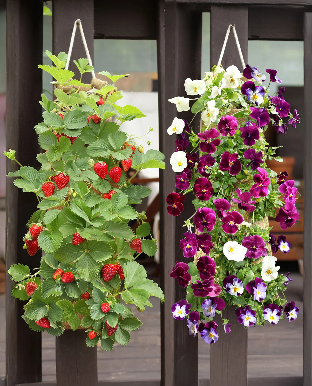Hang & Grow® Canvas Hanging Bag – 2″ Holes
