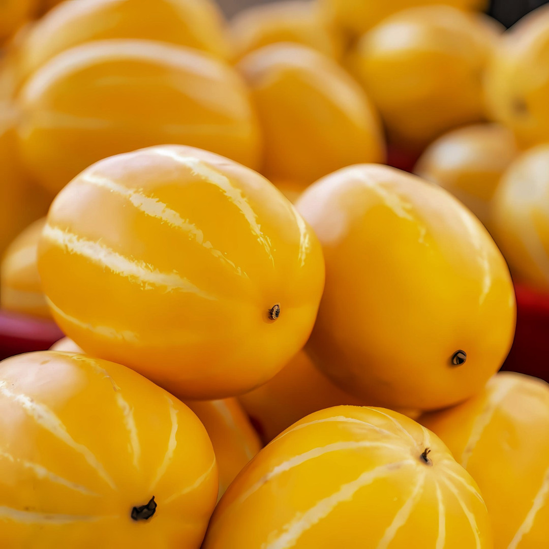 Fresh Korean Melon Seeds | Tian Gua | Heirloom Non-GMO | Asian Vegetable Seeds