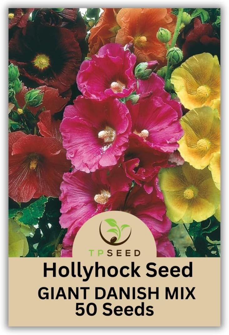 Hollyhock Giant Danish Mix Seeds, 50 Count, Multi-Color Biennial Flowers, TP SEE