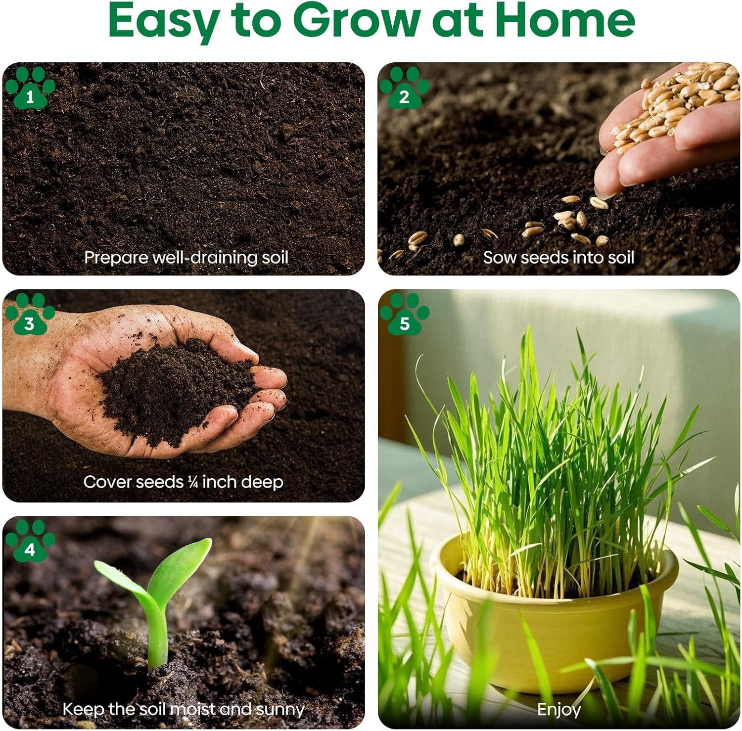 4 Oz Cat Grass Seeds Mix – Fast-Growing Non-GMO Wheat & Oat For Healthy Cats