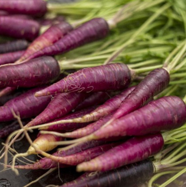 Carrot COSMIC PURPLE Unique Vegetable Popular Heirloom Vegetable 200 Seeds