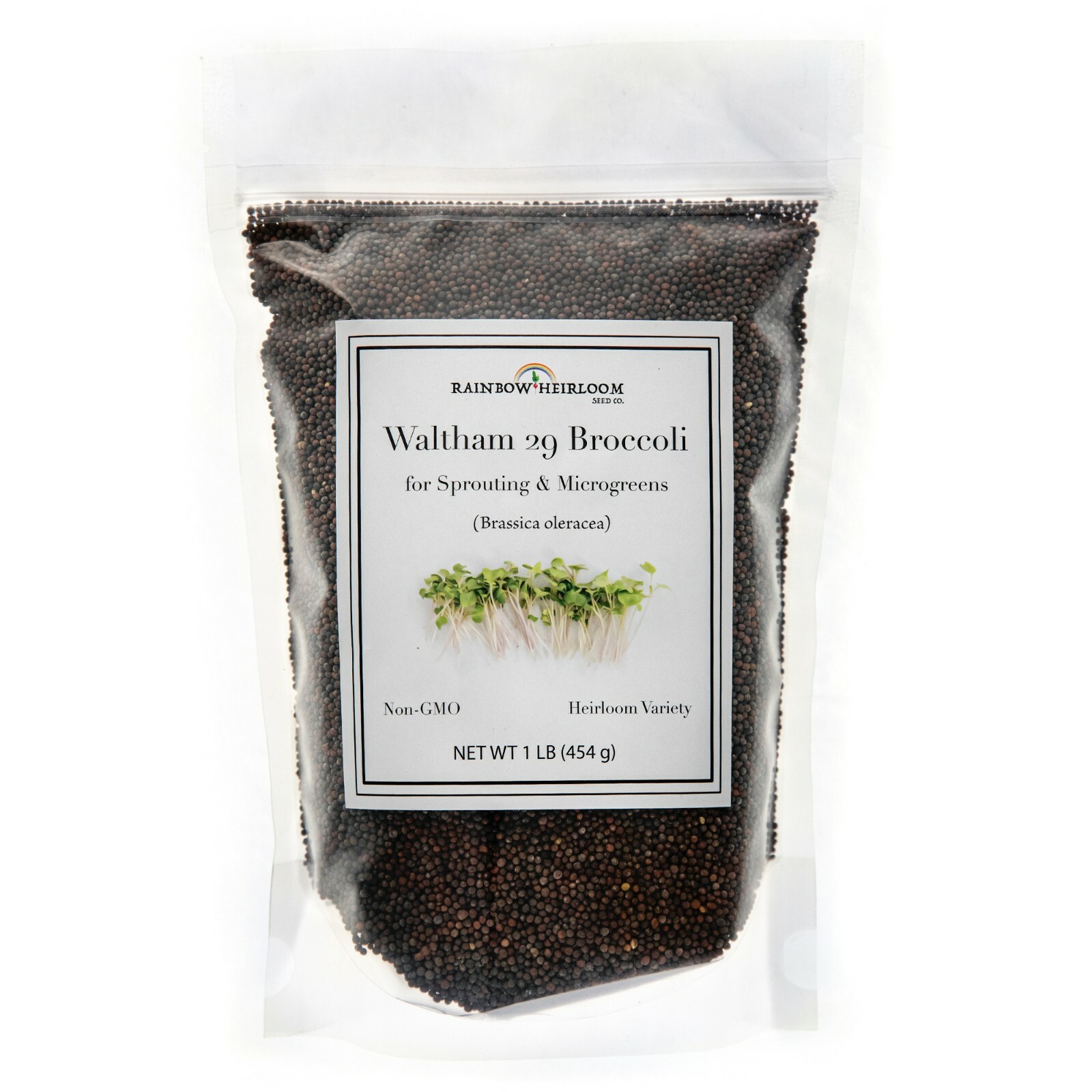 Broccoli Seeds for Sprouting & Microgreens | Non-GMO | Rainbow Heirloom Seed Co