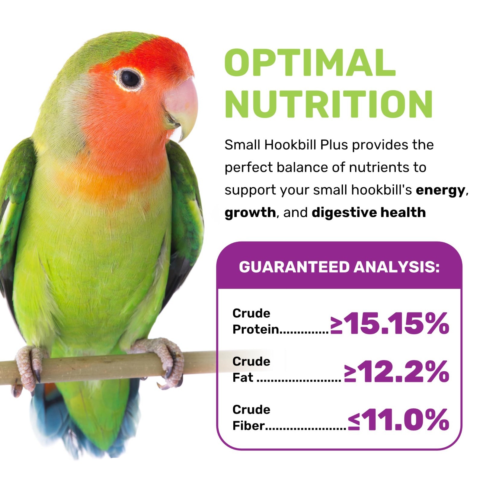 Premium Bird Food for Small Hookbills – 5 lbs Nutrient-Rich Seeds, Vitamins & Mi