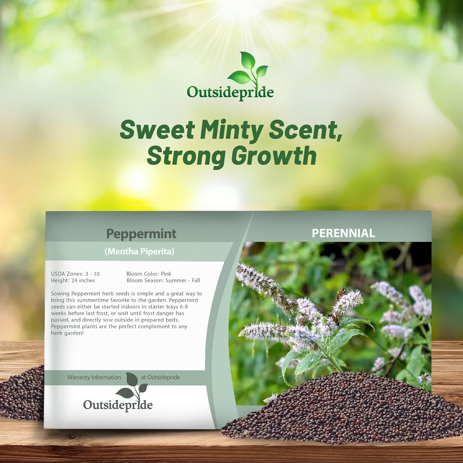 10000 Seeds Peppermint Seed – Mentha Piperita Herb Seeds