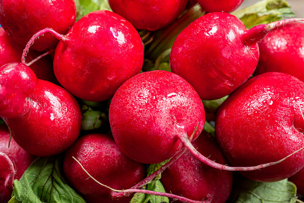 300+ CHERRY RADISH SEEDS VEGETABLE SPRING GARDEN SALADS HEIRLOOM NON-GMO USA