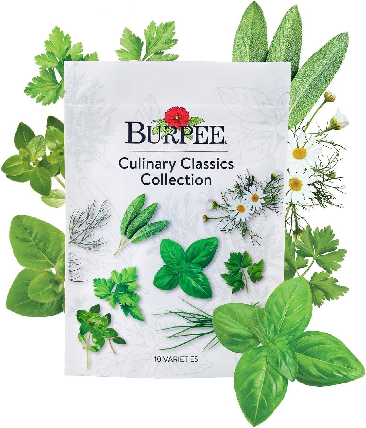 Culinary Classics Herb Collection 10 Pack Non-GMO Seeds Indoor Outdoor Kitche…