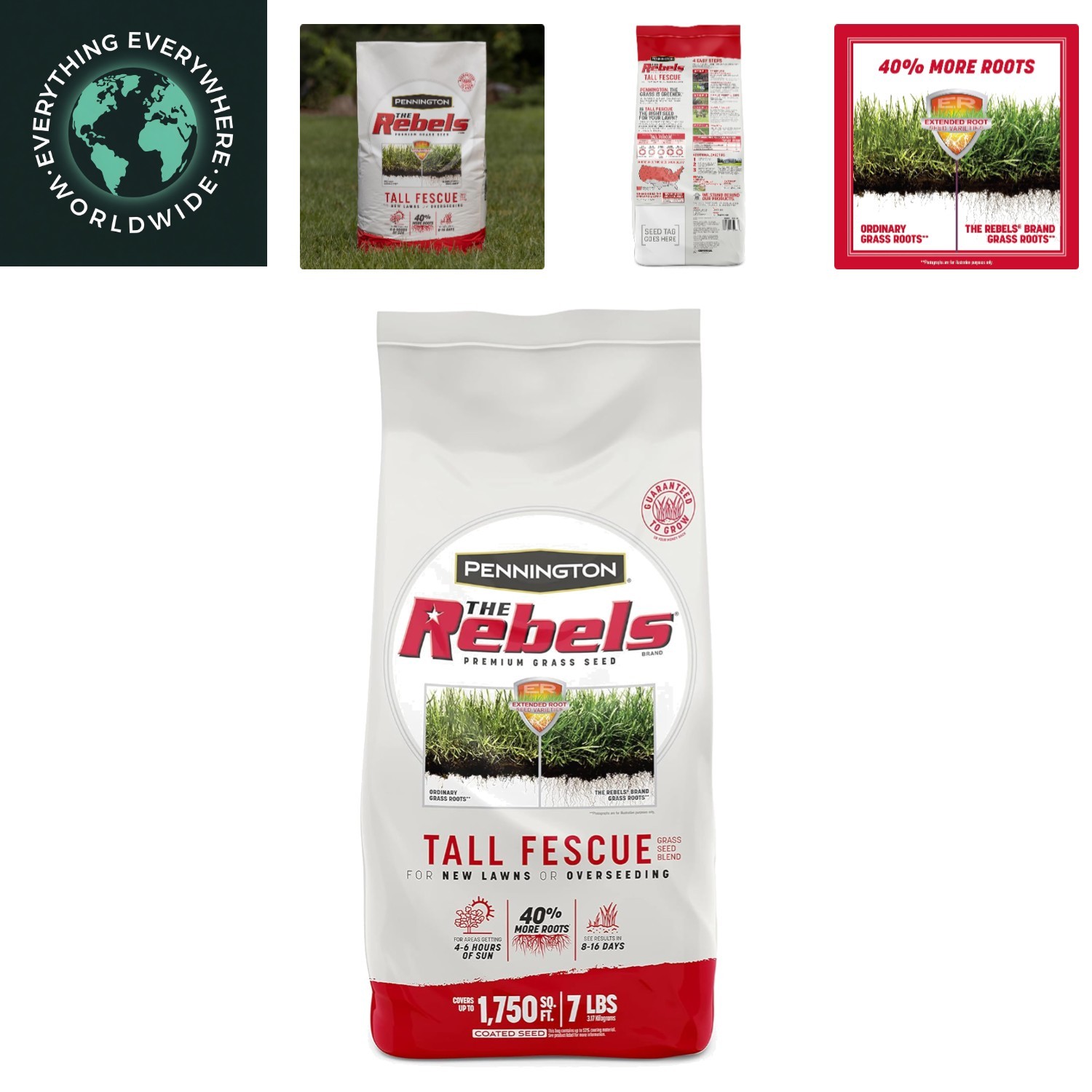 The Rebels Tall Fescue, Tall Fescue Grass Seeds for Lawn, 7 lb