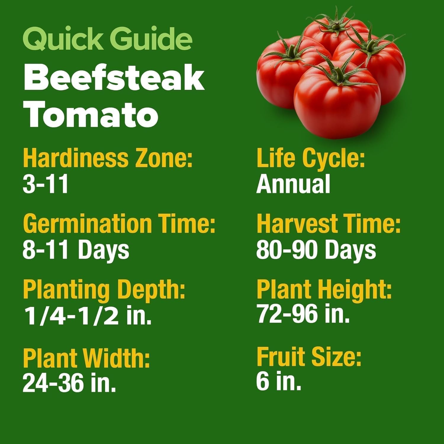 High Germination Beefsteak Tomato Seeds – 300 Heirloom Seeds for Any Gardener
