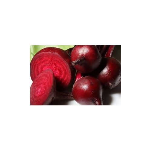 Beet Crosby’s Egyptian Great Heirloom Vegetable By Seed Kingdom 500 Seeds