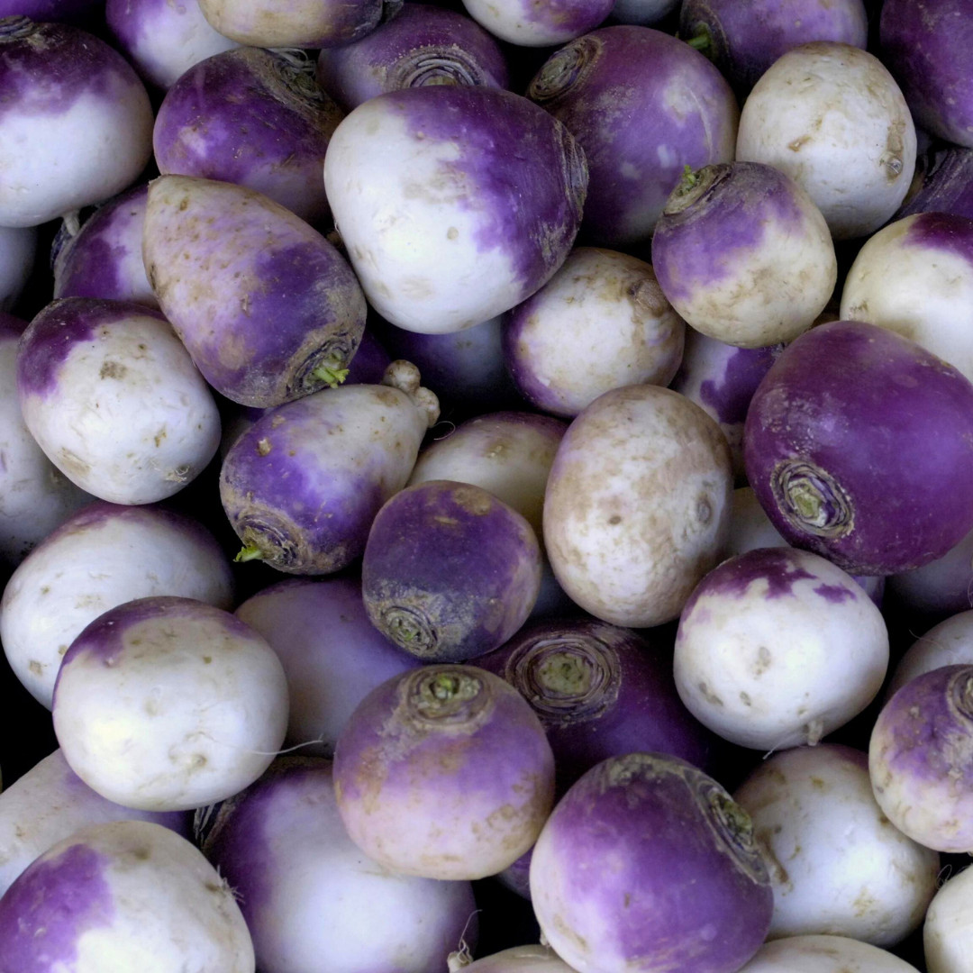 Fresh American Purple Top Rutabaga Seeds | Heirloom Non-GMO | Vegetable Seeds