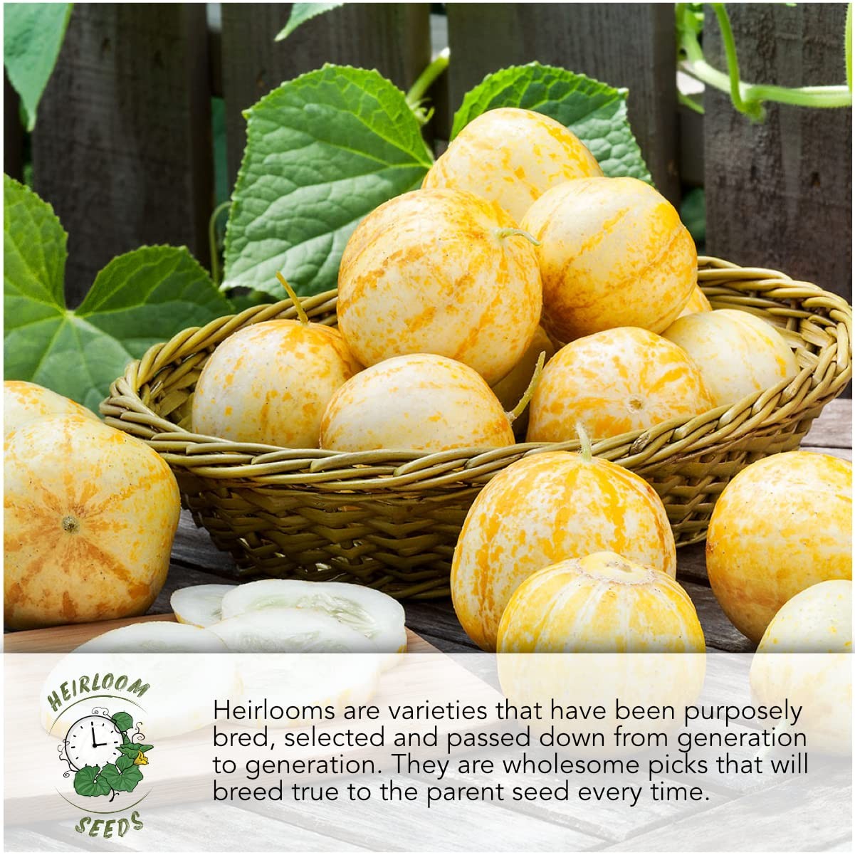 Tomatillo Seeds Variety Pack – Heirloom Non-GMO Seeds for Outdoor Gardening