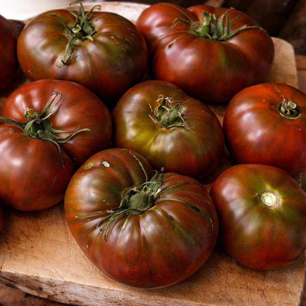 100 Heirloom Paul Robeson Tomato Seeds – NonGMO Free Shipping! Indeterminate