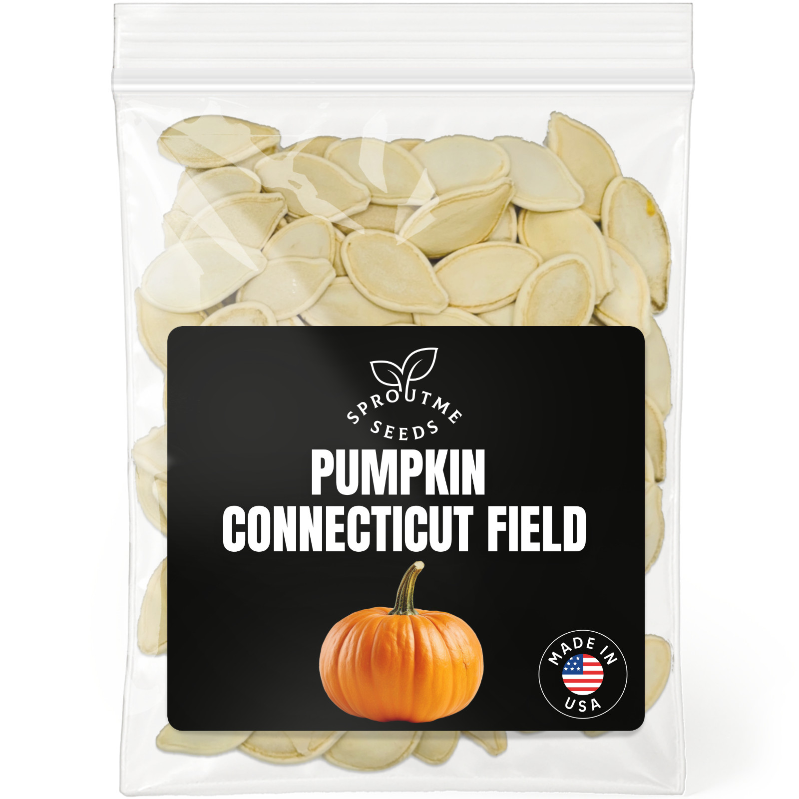 Connecticut Field Pumpkin Seeds 100+, Heirloom Non-GMO, Large Orange