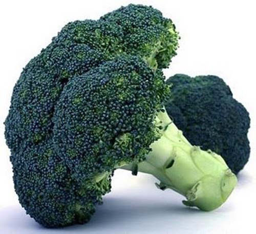 Broccoli Waltham 29 Great Garden Vegetable Heirloom – 500 Seeds