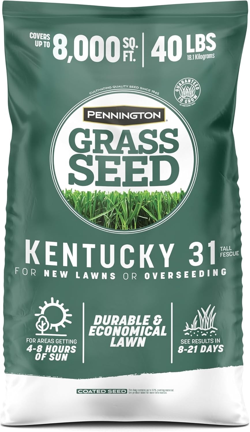 Fast Growing Grass Seed for Lawns – Heat and Rain Resistant