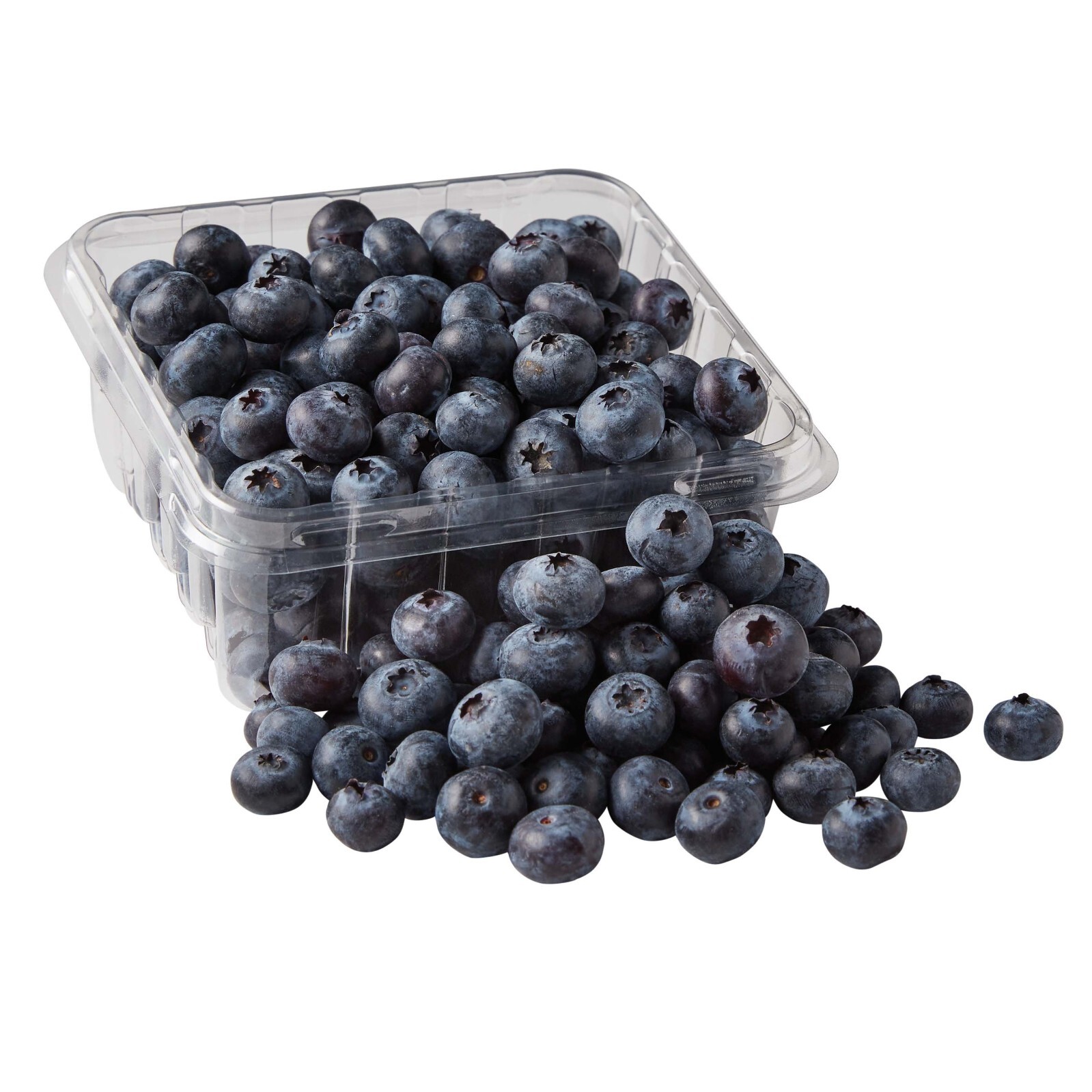 50+ Blue Raspberry Bush Seeds SWEET EDIBLE Berry Fruits, USA Seller Free Shippin