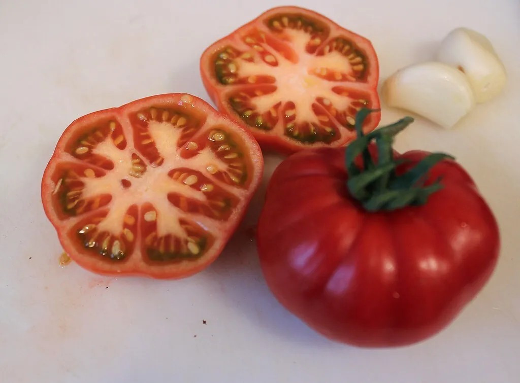 30+ Sub Arctic Plenty Tomato Seeds – Heirloom – Organic – NON GMO .. 45 -50 Days