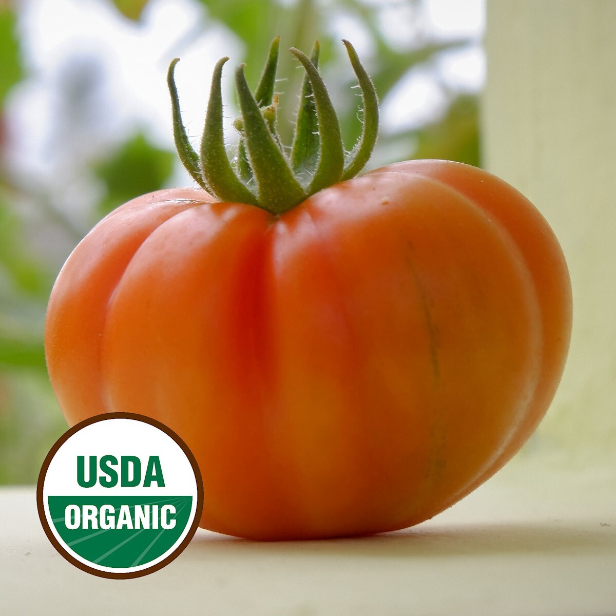 25 Organic Hillbilly Heirloom Tomato Seeds – Everwilde Farms Mylar Seed Packet