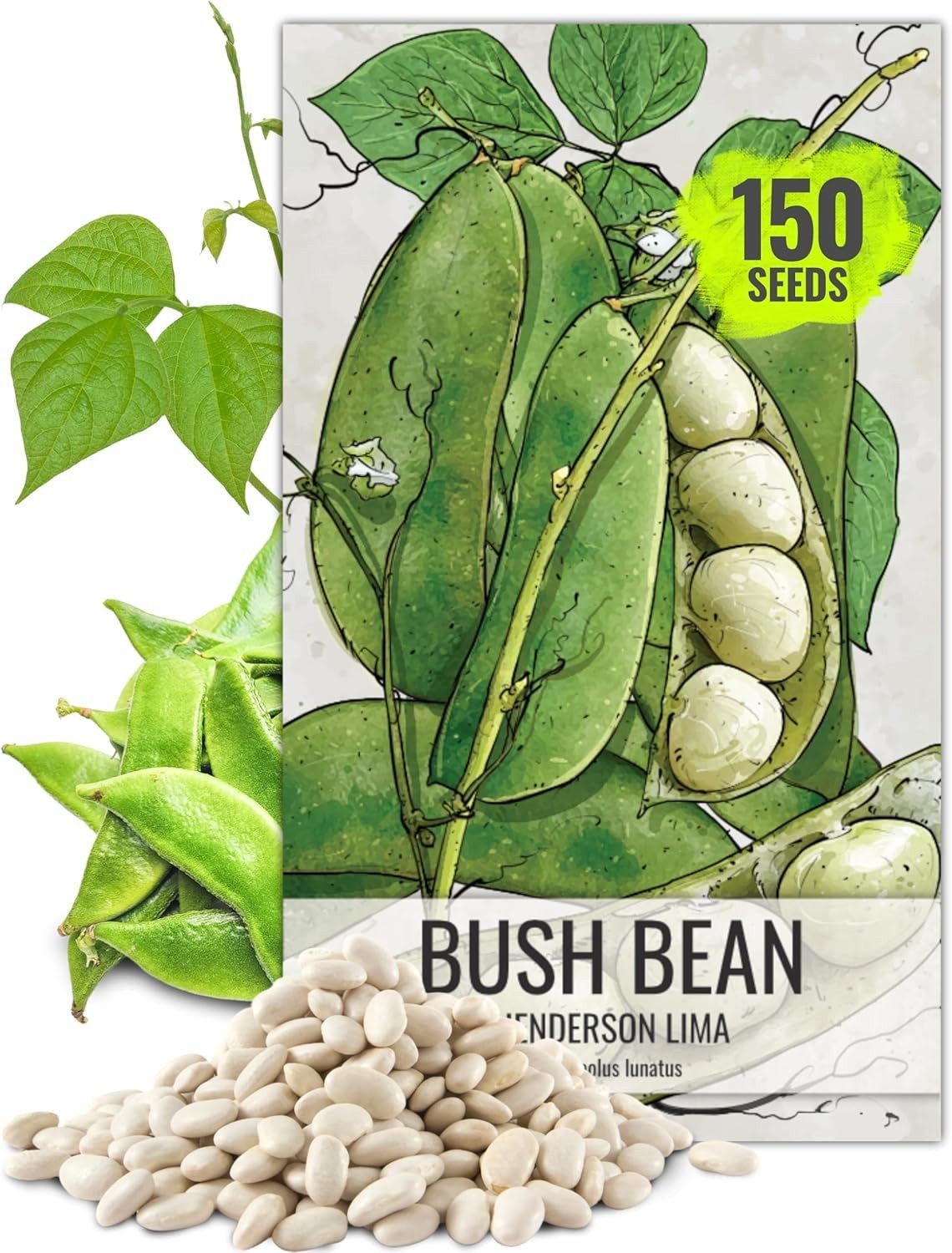 Henderson Lima Bush Bean Seeds for Planting 2 Ounce 150+ Seeds