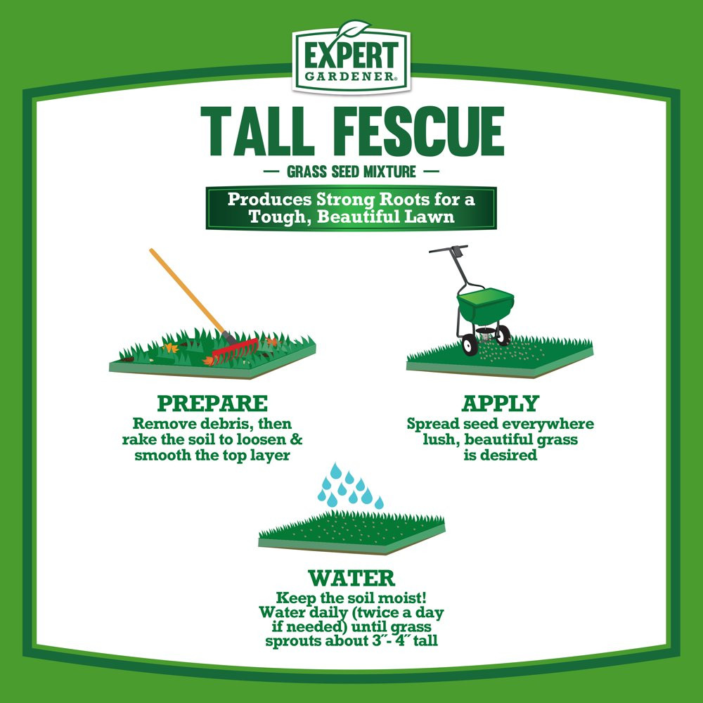 GRASS SEED Tall Fescue Drought Resistant for Sun to Partial Shade 7, 20 Lb.