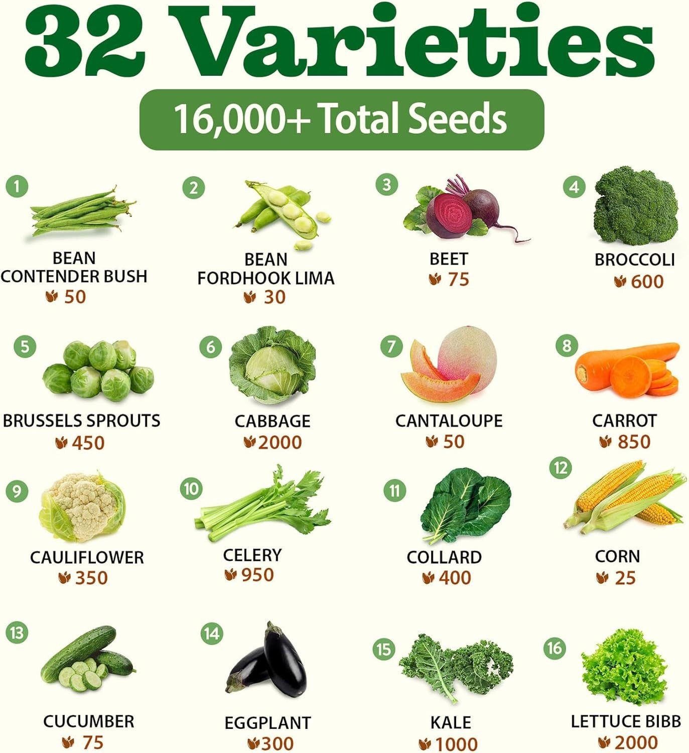 HOME GROWN 5/7/32 Lettuce Seed Pack 3950 Heirloom Vegetable Seeds for Multi