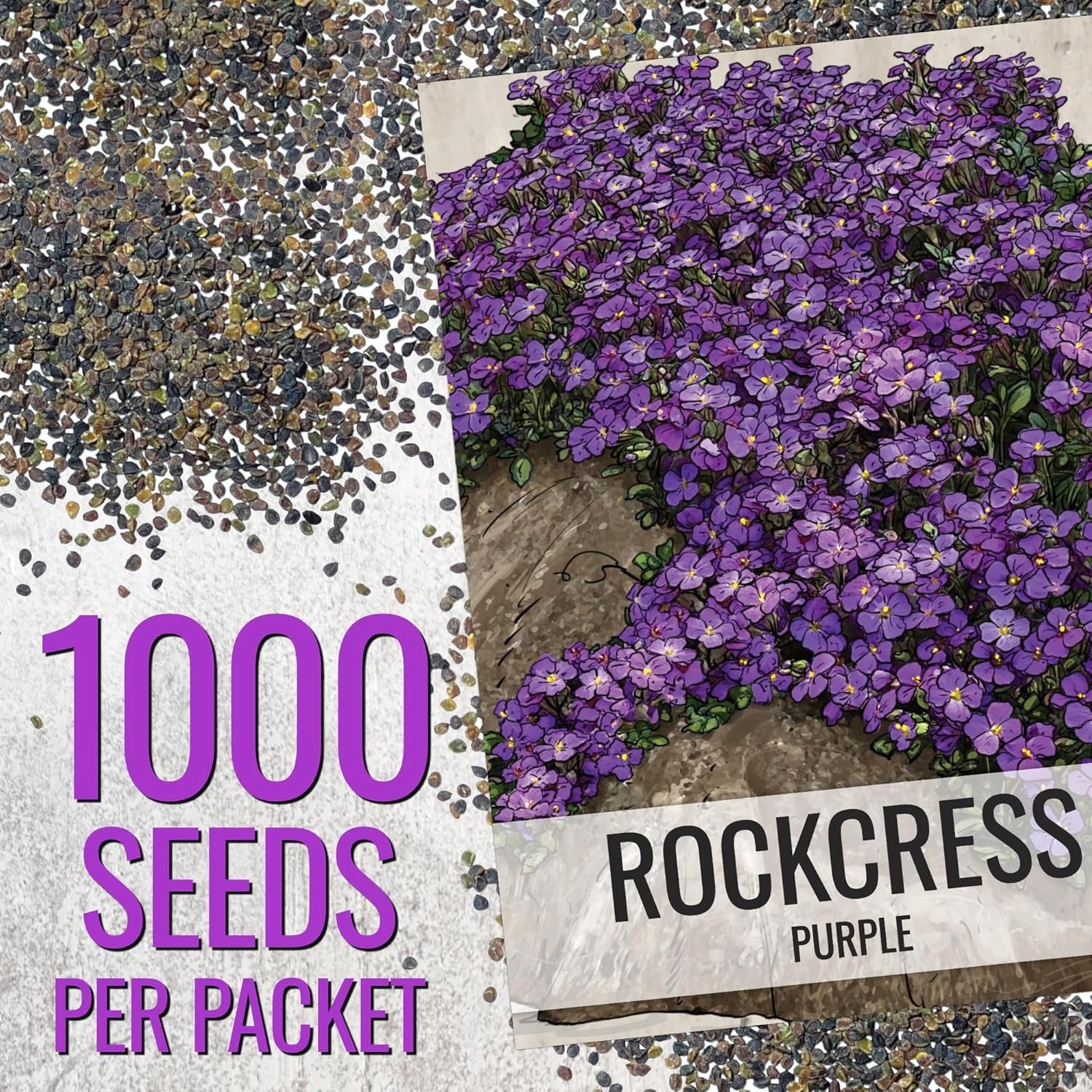 Seed Needs Purple Rockcress Seeds for Planting – Heirloom & Open Pollinated