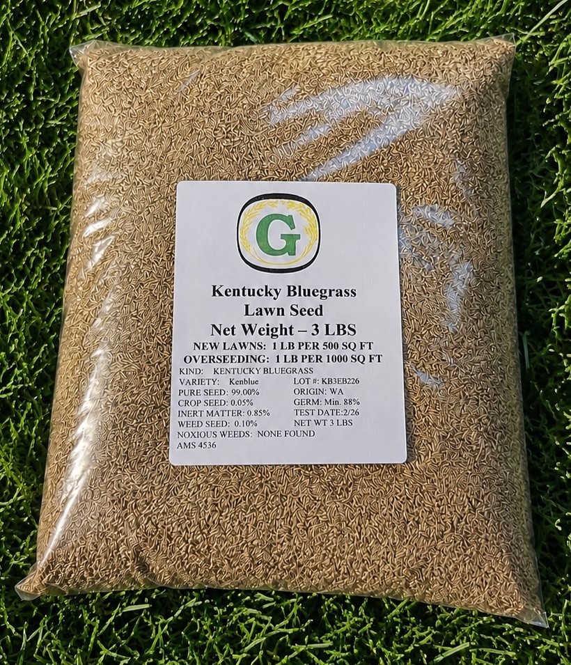 Kentucky Bluegrass Grass Seed – 24 lbs. (8) 3 lb bags Direct from Grower!