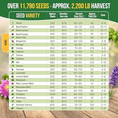 25 Herb Seeds Variety Pack – 11,700 Non-GMO Heirloom Seeds for Hydroponic & Indo