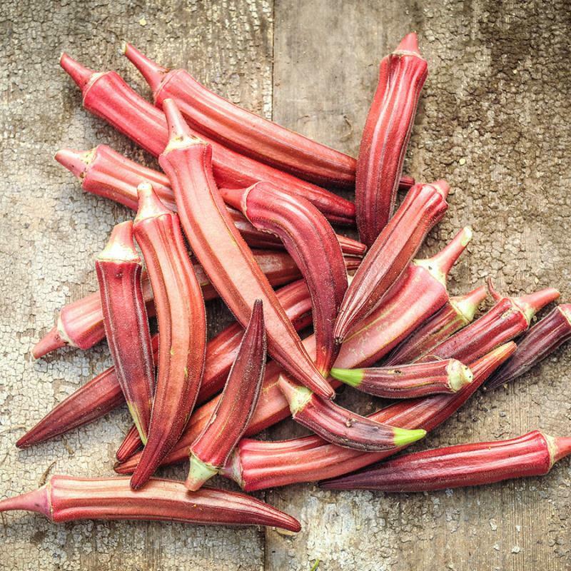 Okra Seeds Jing Orange 30 Ct Asian Vegetable NON-GMO HEIRLOOM USA FREE SHIPPING