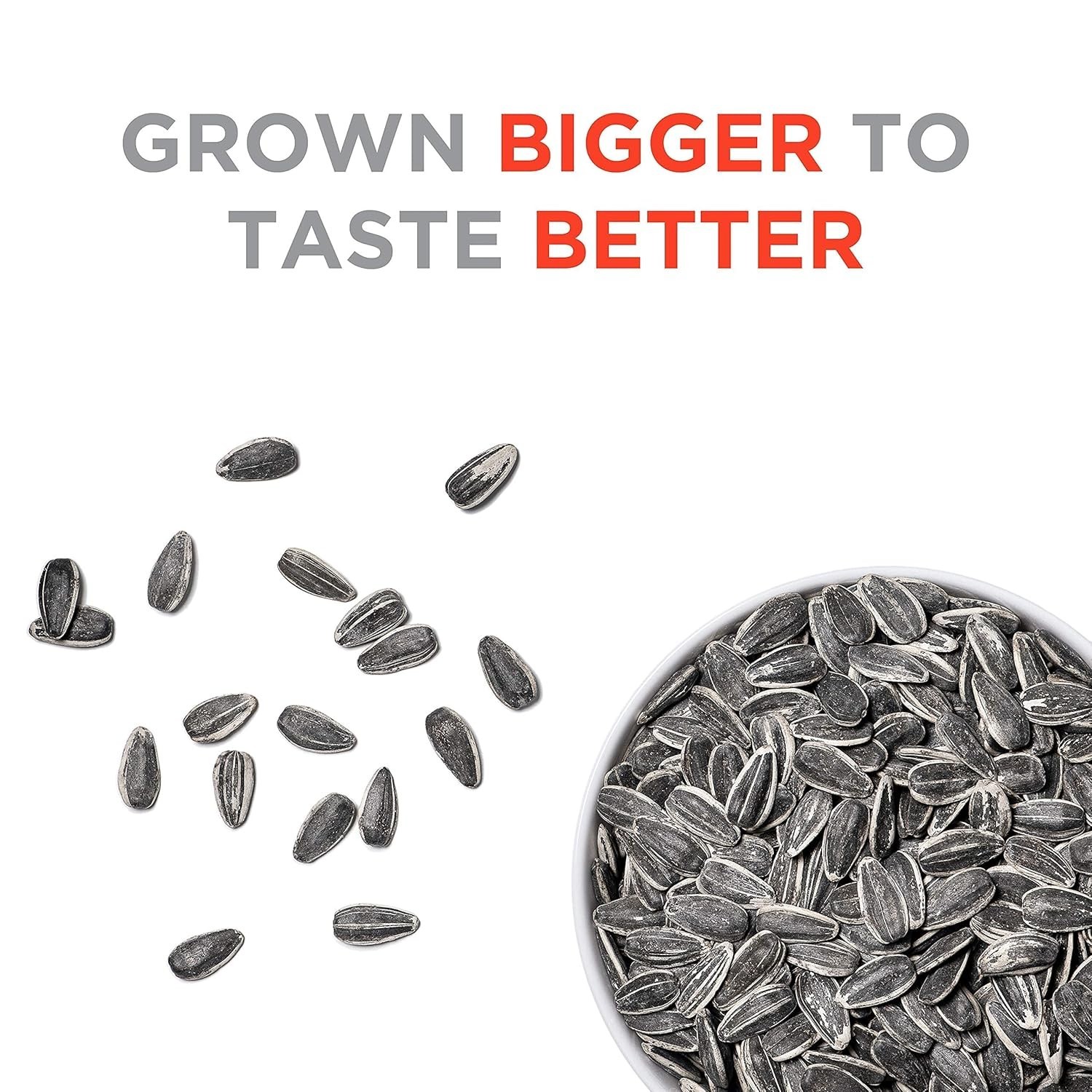 Antioxidant-Rich Sunflower Seeds – 16 oz Pack of 6 for Energizing Snack