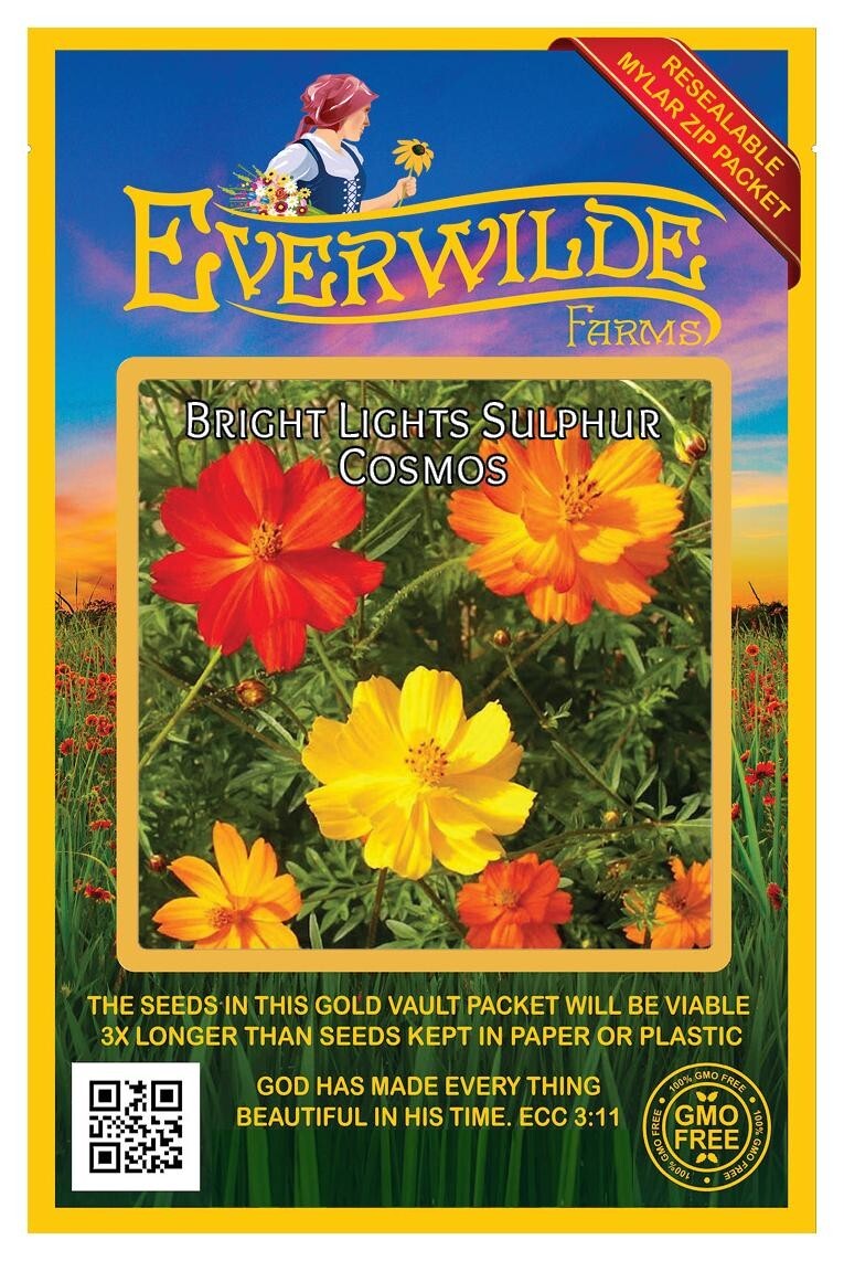 500 Bright Lights Mixed Sulphur Cosmos Wildflower Seeds – Everwilde Farms Mylar
