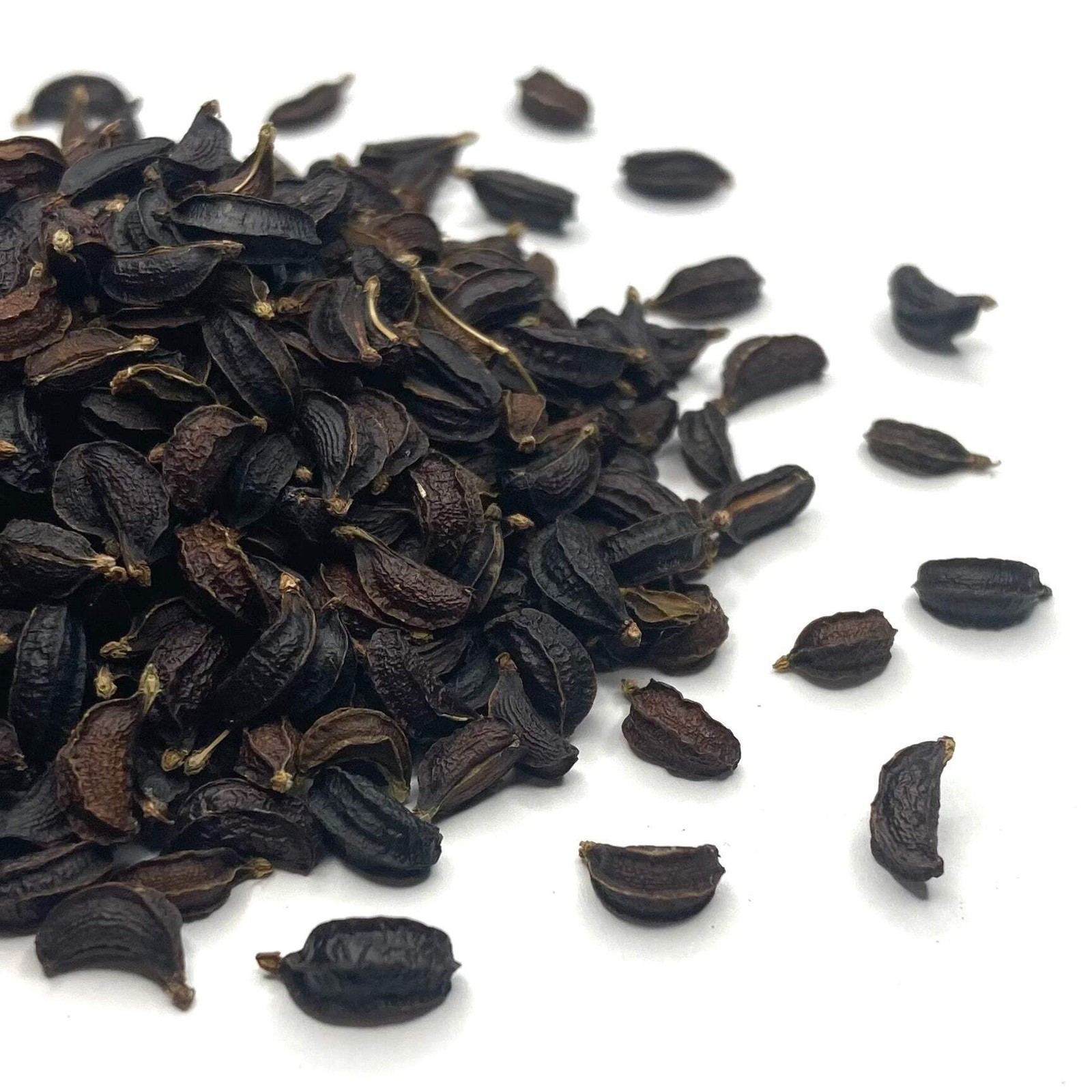 Alexanders, Black Lovage Seeds (Smyrnium olusatrum) ~Traditional Herb Garden