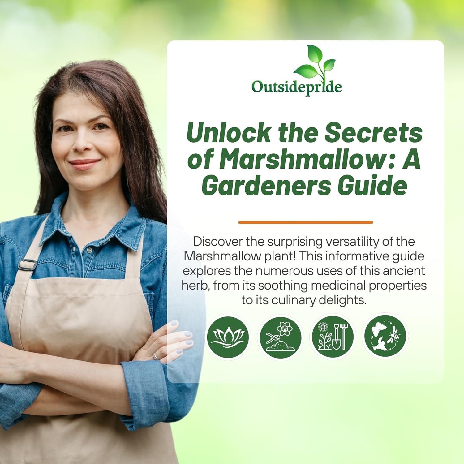 1000 Seeds Marsh Mallow Seeds For Planting – Althaea Officinalis Herb Seeds