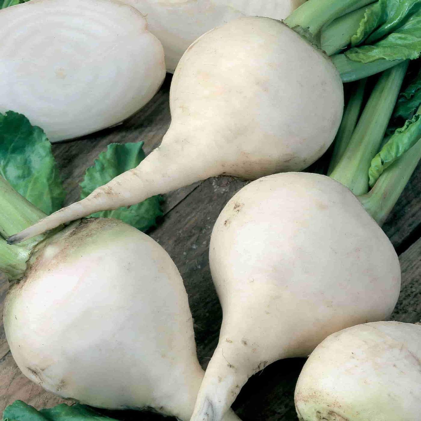 White Albino Beet Seeds, Holland Heirloom, NON-GMO, Variety Sizes, FREE SHIPPING