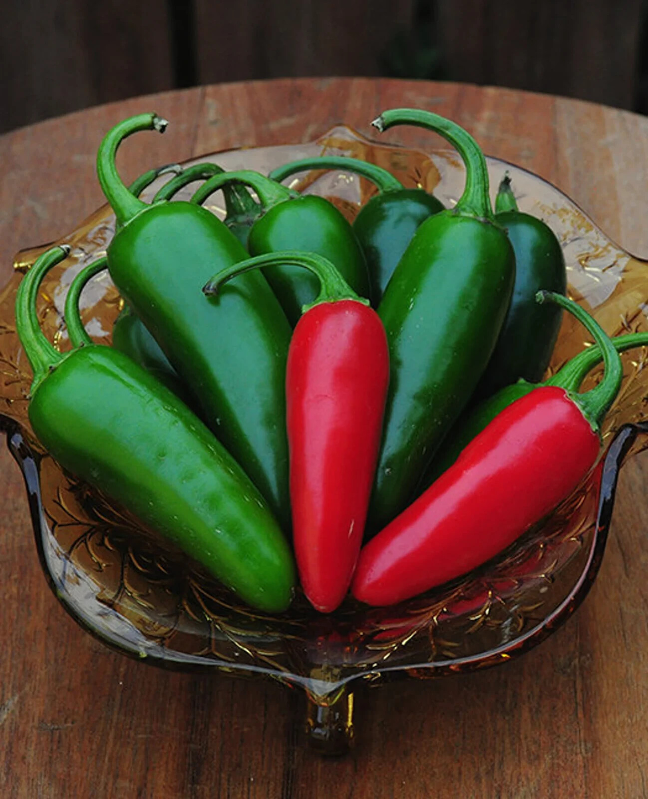 3 different grow your own salsa kits you choose NON-GMO seeds VERY EASY HEALTHY!