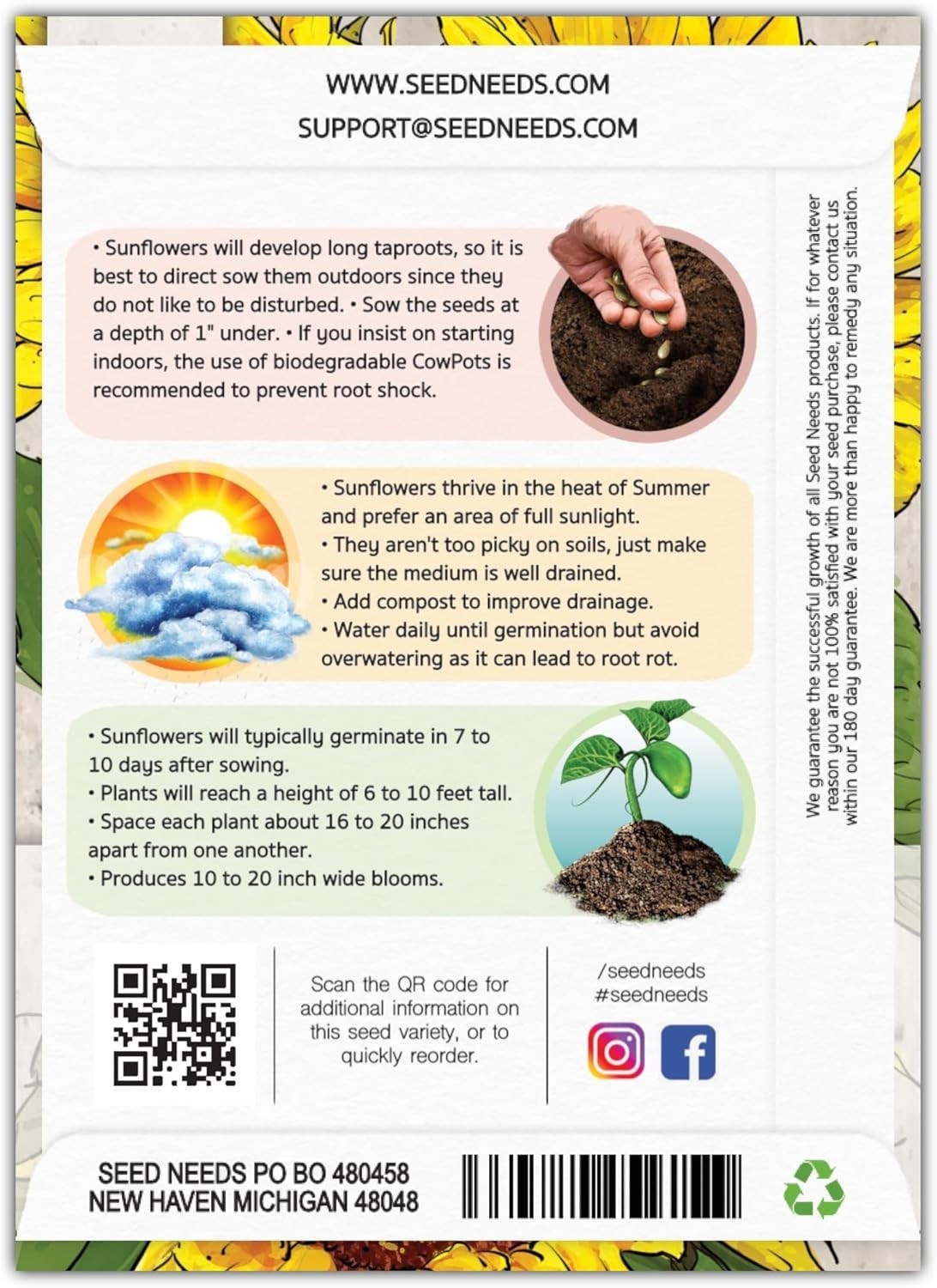 Mammoth Grey Stripe Sunflower Seeds – 50 Heirloom Seeds for a Butterfly Garden