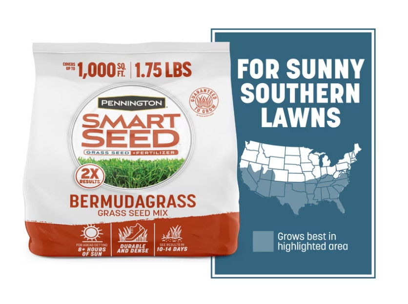 ( 2 pack ) Smart Seed Texas Bermuda Grass Seed Mix, for Full Sun, 1.75 Lb.