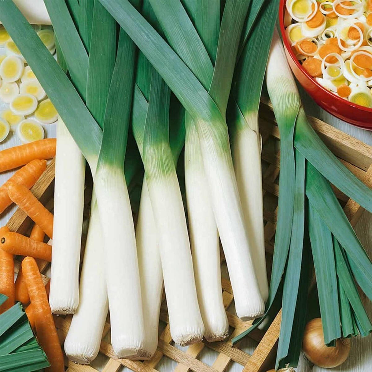 250 LARGE AMERICAN FLAG LEEK SEEDS – HEIRLOOM – ORGANIC – NON GMO —— FRESH
