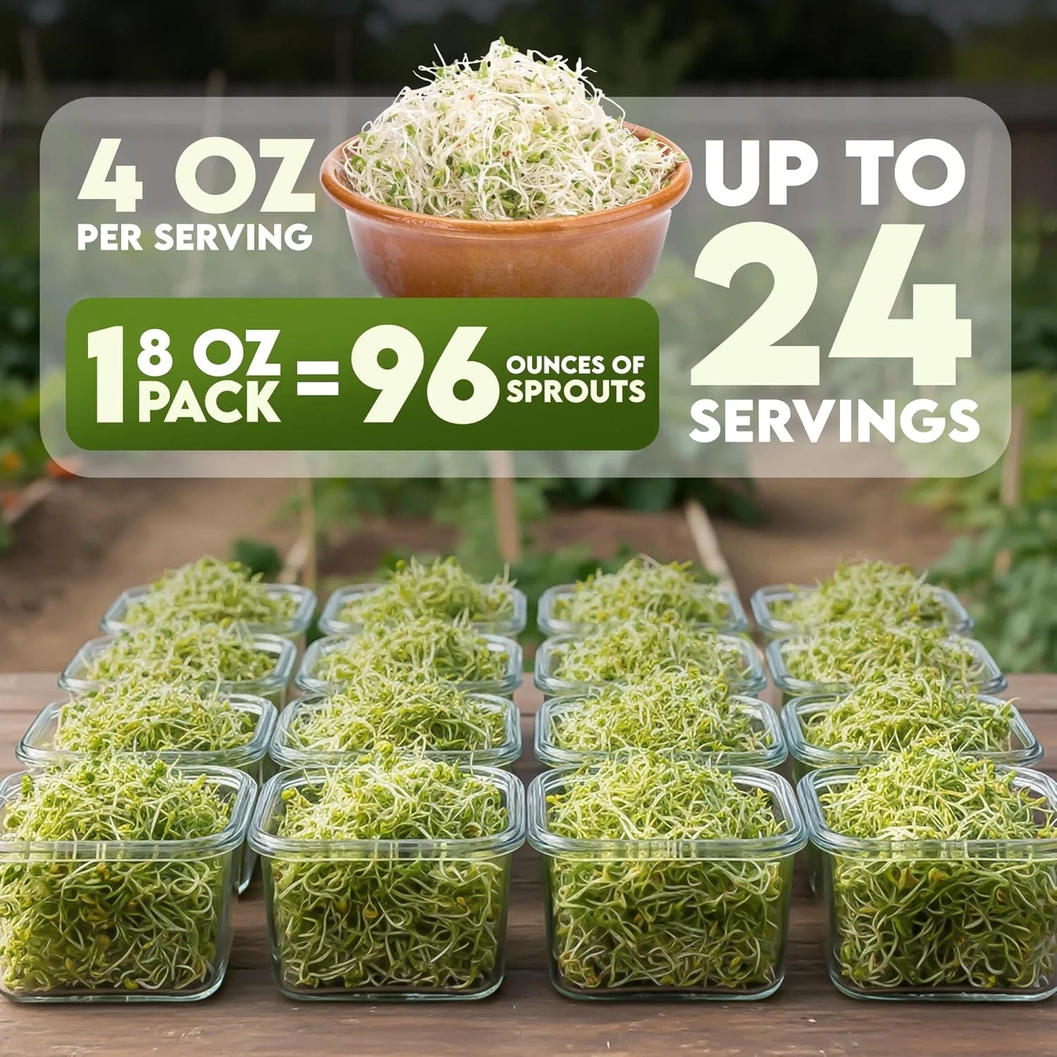 Nature Jim’S Organic Broccoli Sprouting Seeds – Non-Gmo, Rich in Sulforaphane, F
