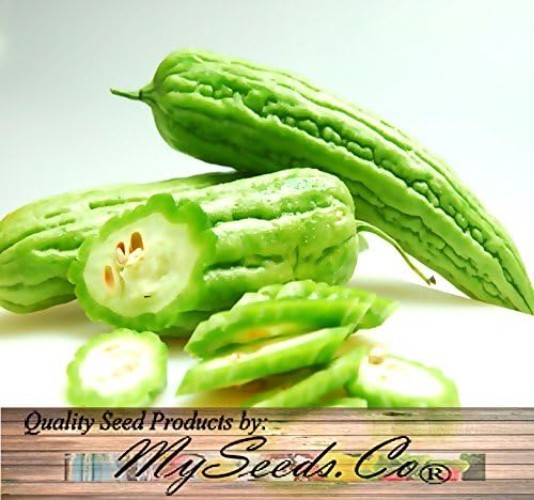 Mara Long Variety Bitter Melon – 100 Non-GMO Seeds