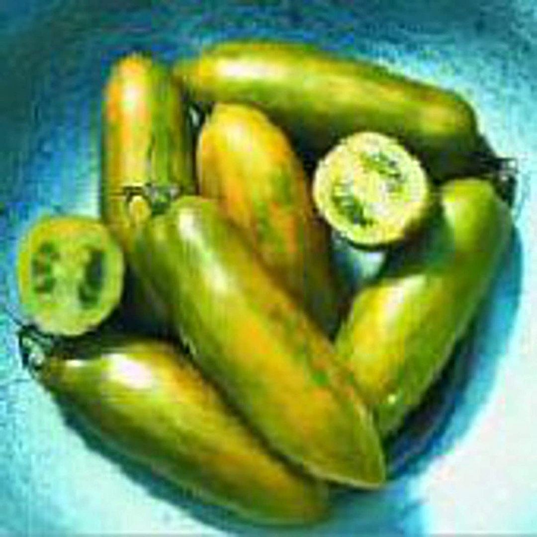 Green Sausage Tomato Seeds (25 Seed Packet) (More Heirloom, Organic, Non GMO, Ve