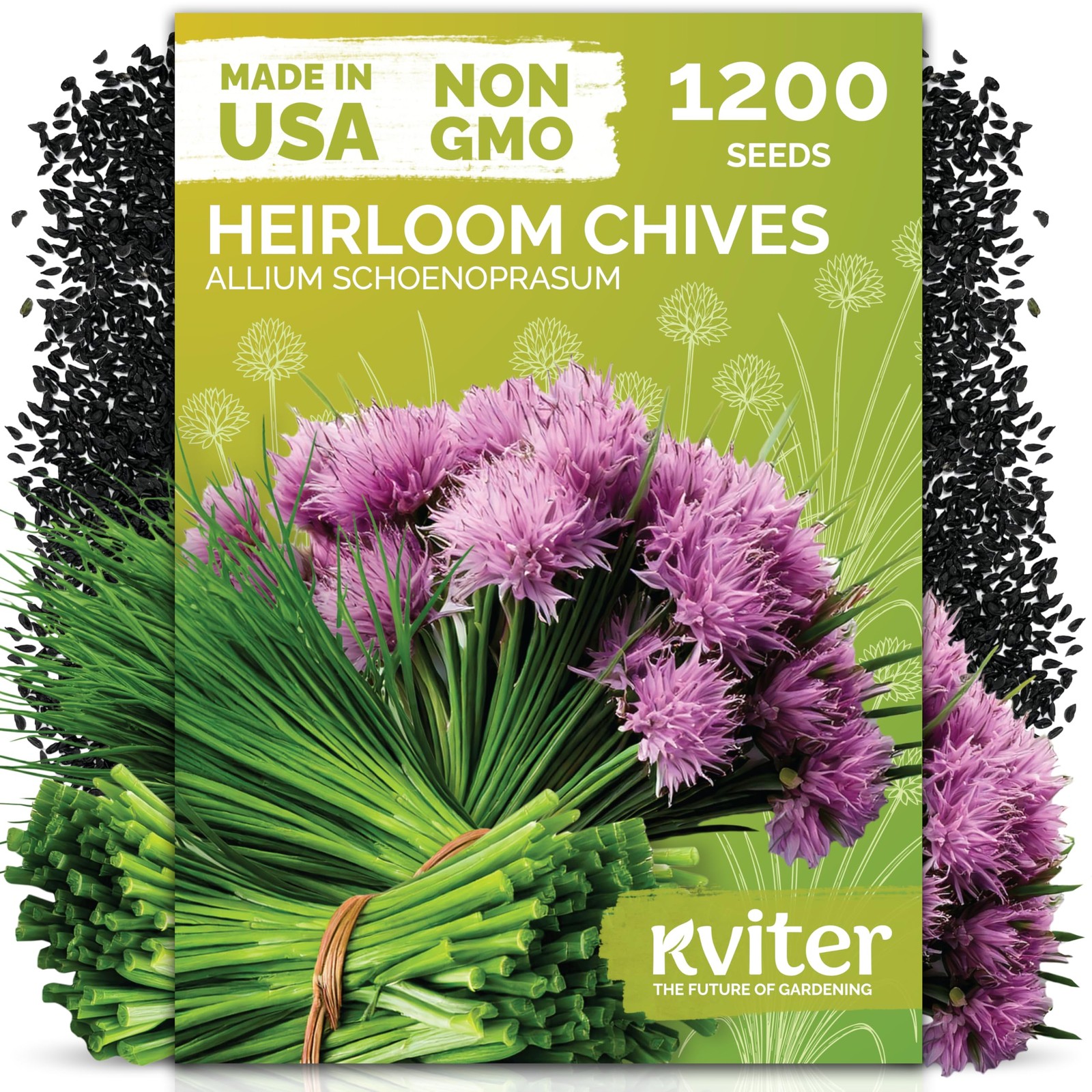 KVITER 1200 Chive Seeds (Allium schoenoprasum)