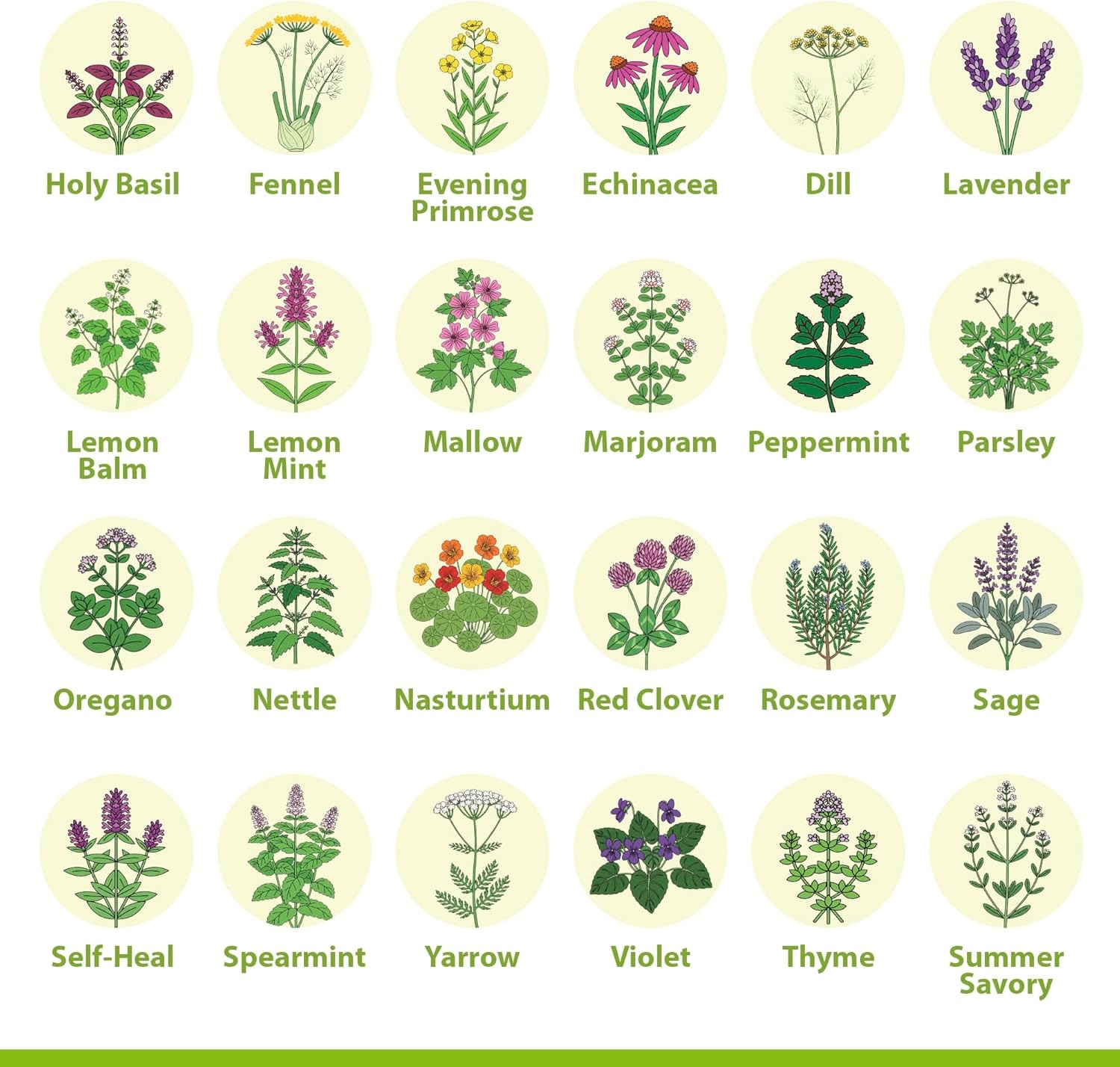 Medicinal Herb Seeds Variety Pack – 39 Heirloom Non-Gmo Apothecary Seed Kit, Her