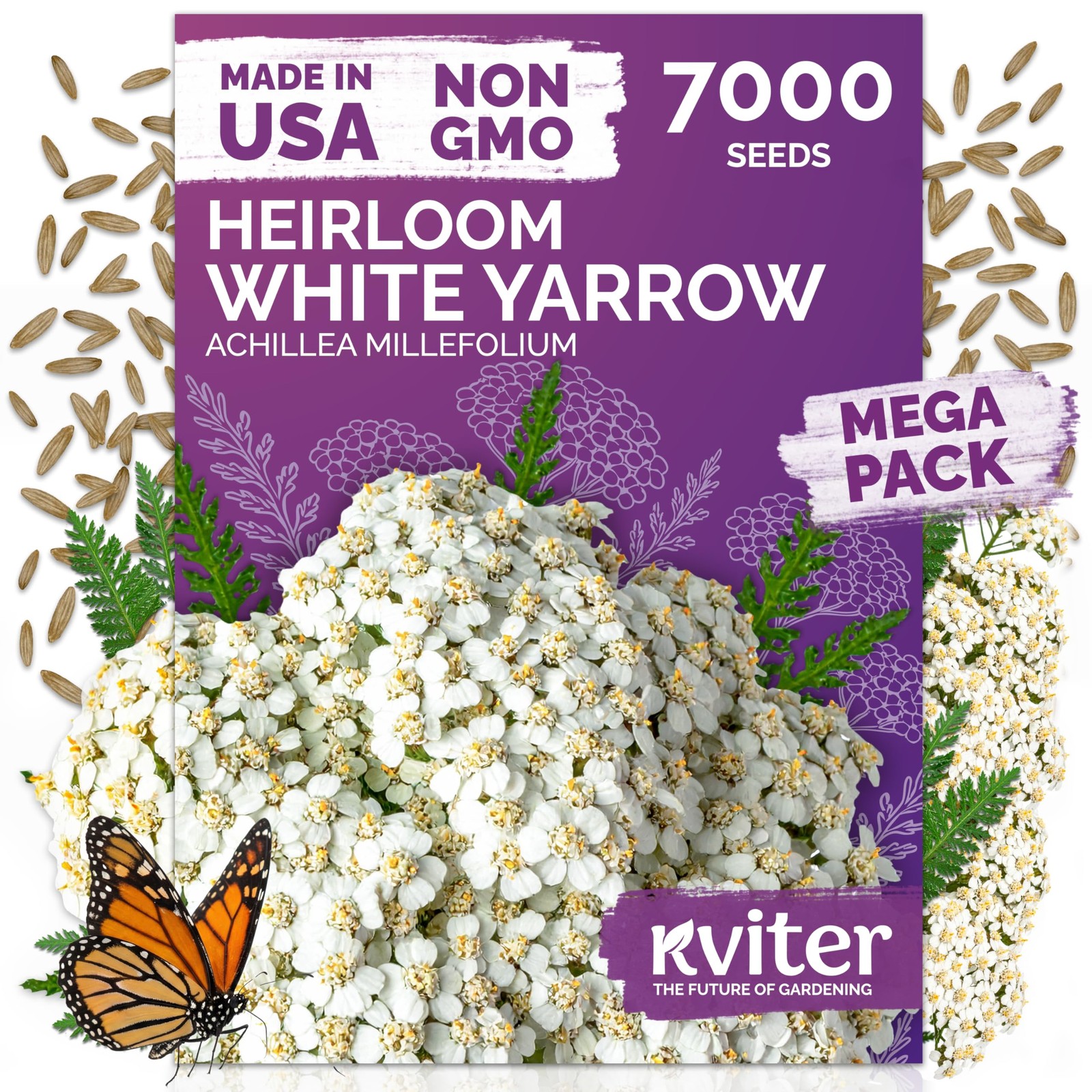 KVITER 7000 White Yarrow Seeds for Planting (Achillea Millefolium)