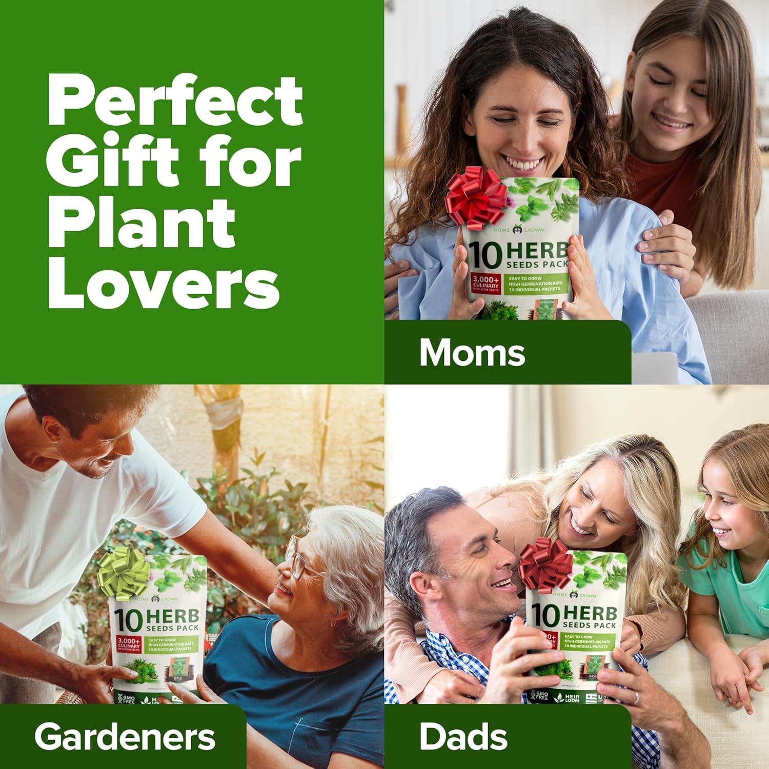 Versatile Indoor & Outdoor Herb Seed Set – 10 Non-GMO Heirloom Varieties